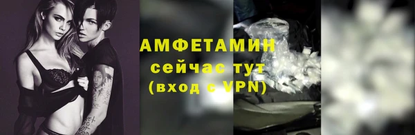 тгк Новозыбков