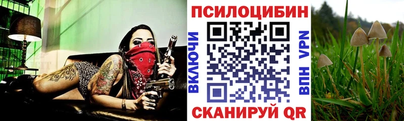 Псилоцибиновые грибы MAGIC MUSHROOMS  дарнет шоп  Анадырь 